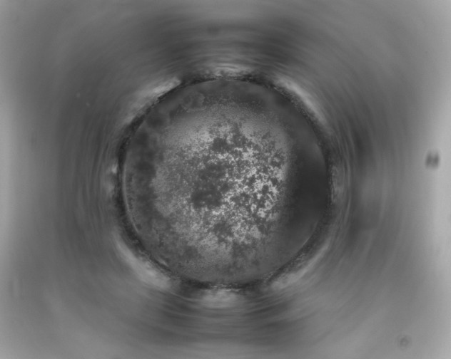 X0000092060451200709121357