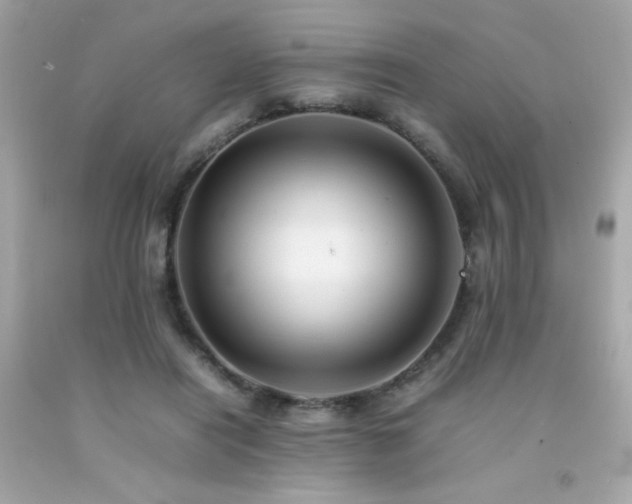 X0000092060454200709121357