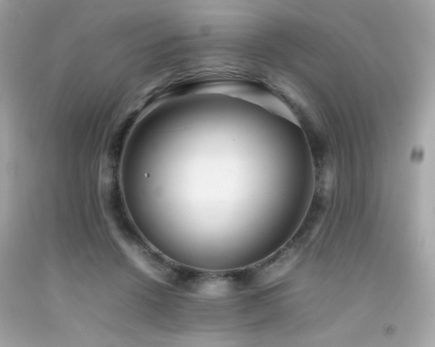X0000092060456200709121357