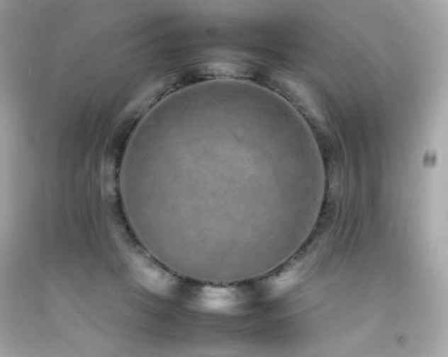 X0000092060457200709121357