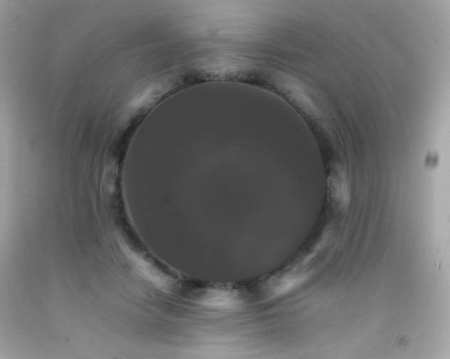 X0000092060458200709121357