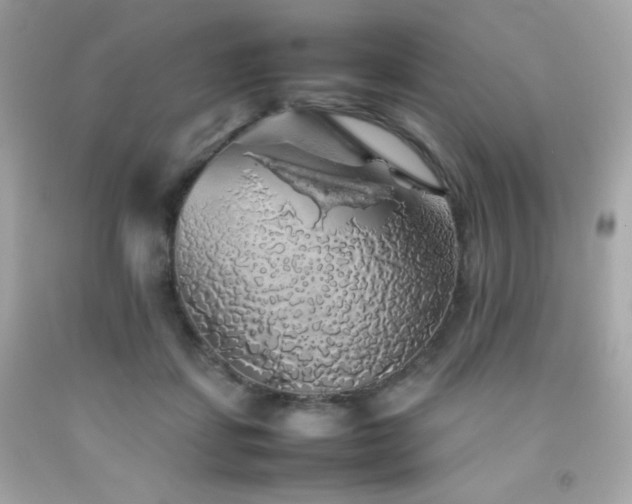 X0000092060459200709121357