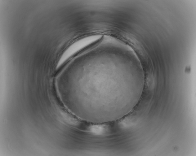 X0000092060461200709121357