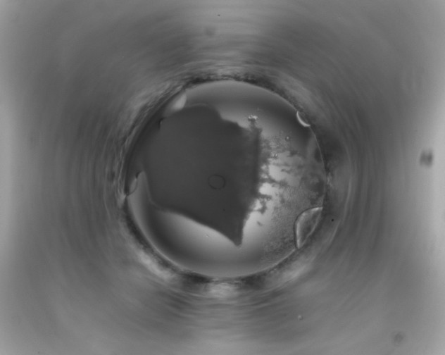 X0000092060462200709121357