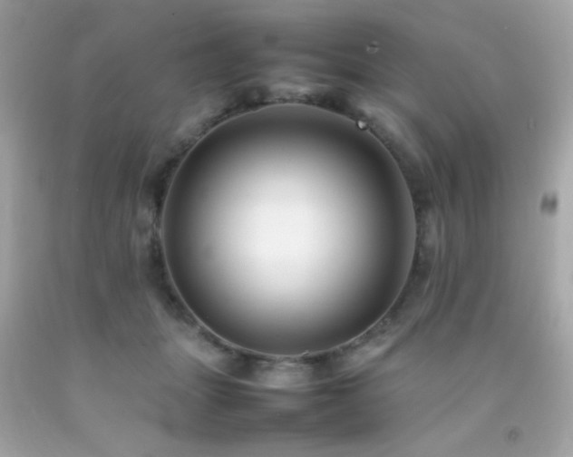X0000092060463200709121357