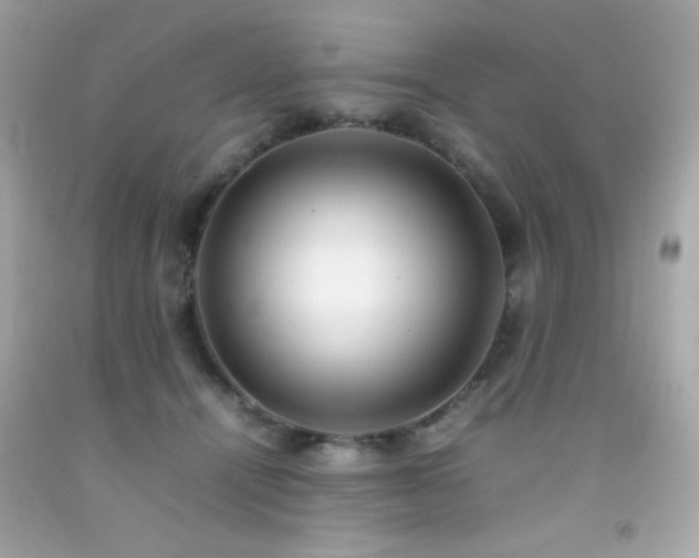 X0000092060464200709121358