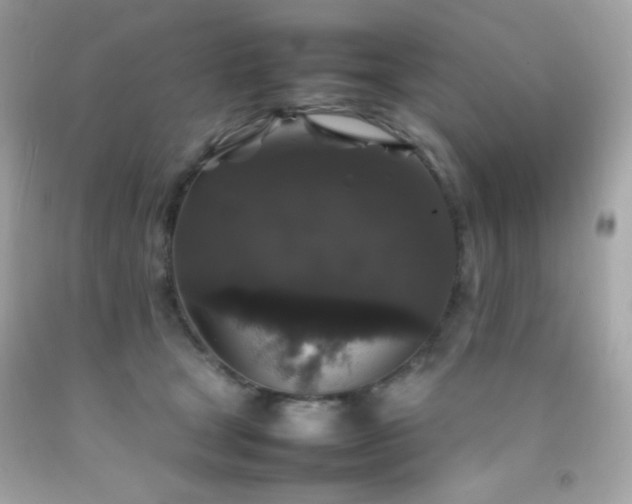 X0000092060465200709121358