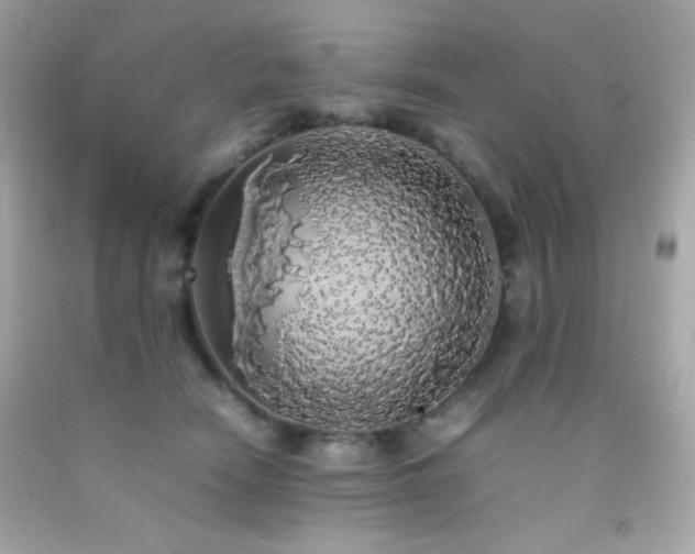 X0000092060466200709121358