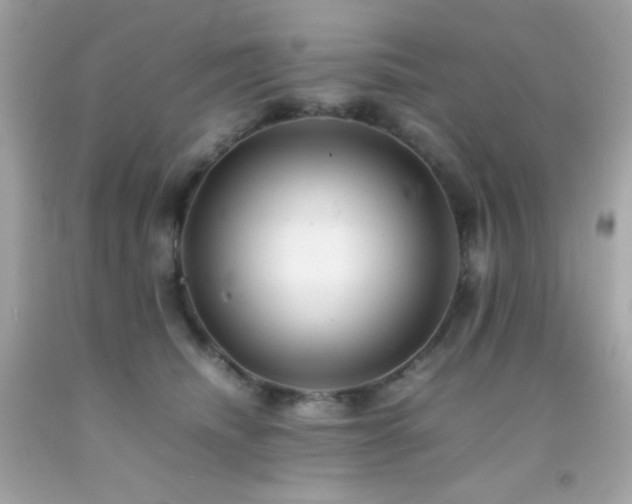 X0000092060468200709121358