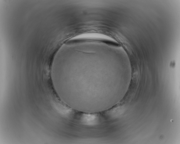 X0000092060469200709121358