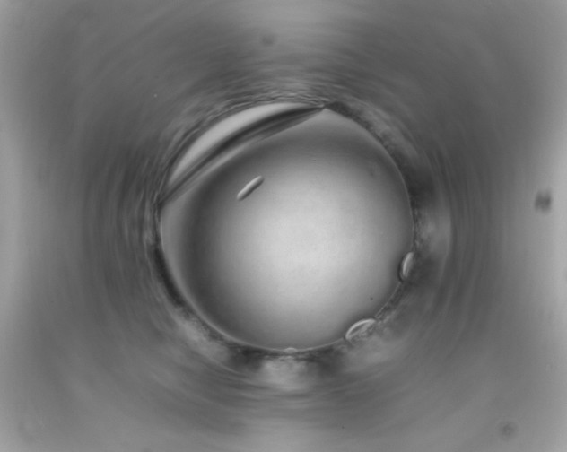X0000092060470200709121358