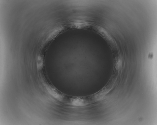 X0000092060471200709121358