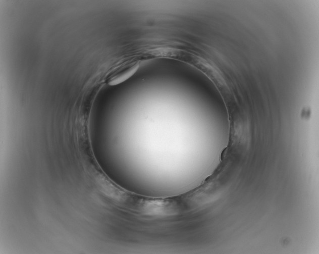 X0000092060473200709121358
