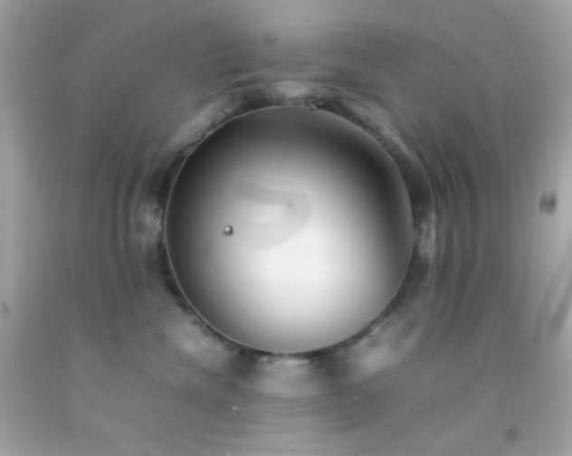 X0000092060476200709121358