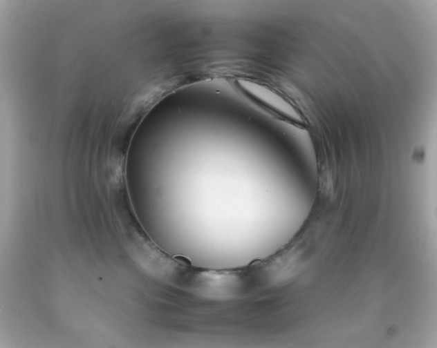 X0000092060477200709121358