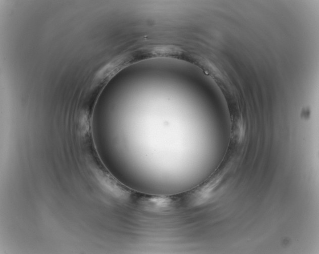 X0000092060478200709121358