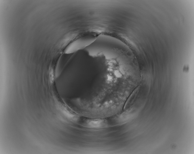 X0000092060479200709121358