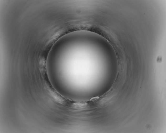 X0000092060480200709121358