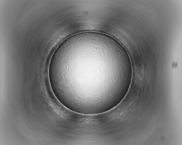 X0000092060482200709121357