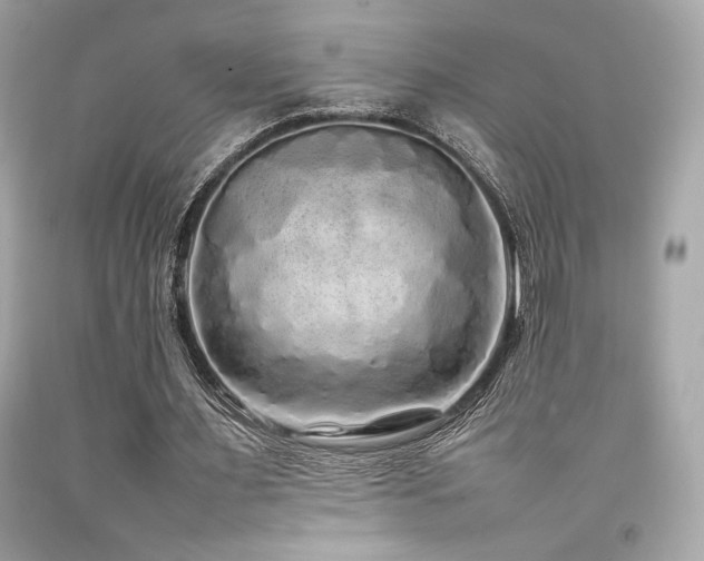 X0000092060483200709121357