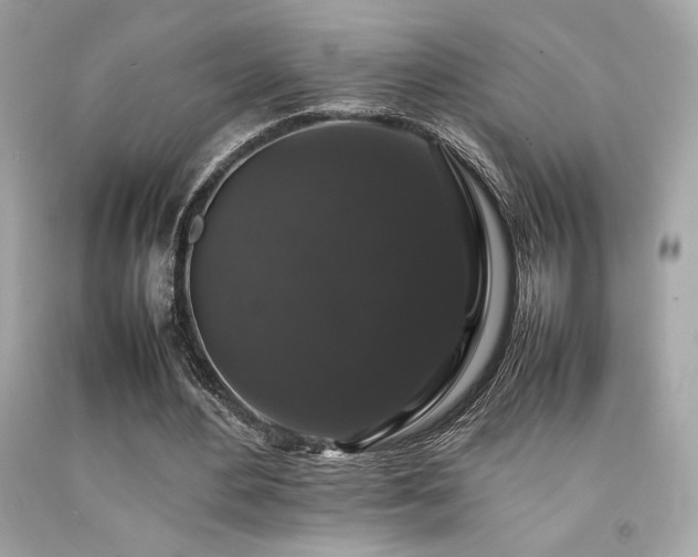 X0000092060484200709121357