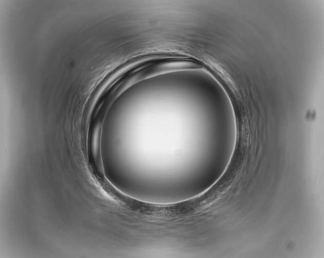 X0000092060485200709121357