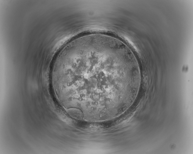 X0000092060487200709121357