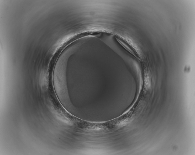 X0000092060488200709121357