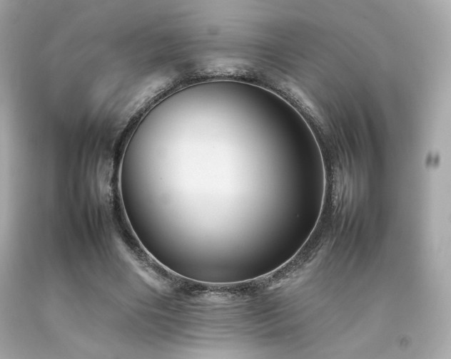 X0000092060490200709121357
