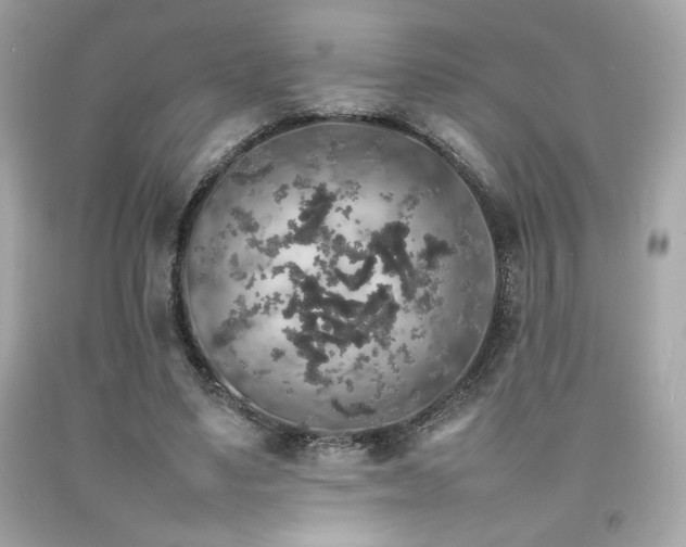 X0000092060491200709121357