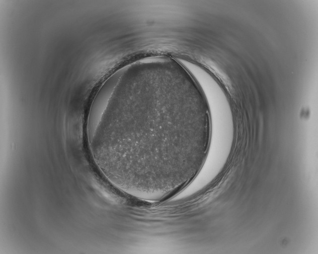 X0000092060493200709121357