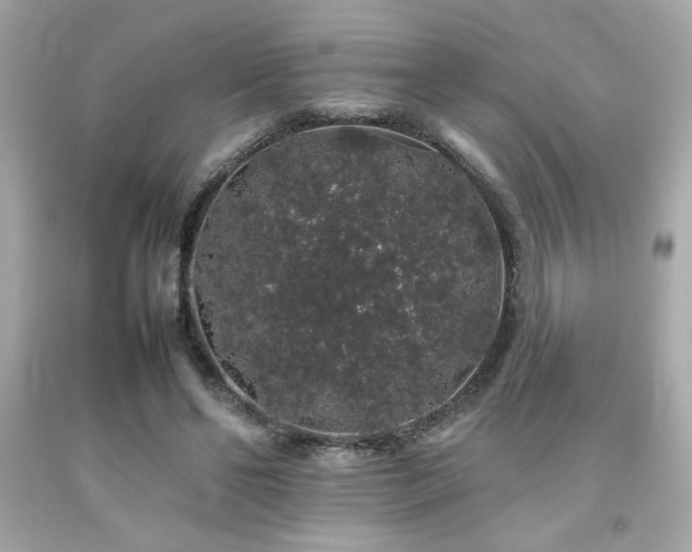 X0000092060494200709121357