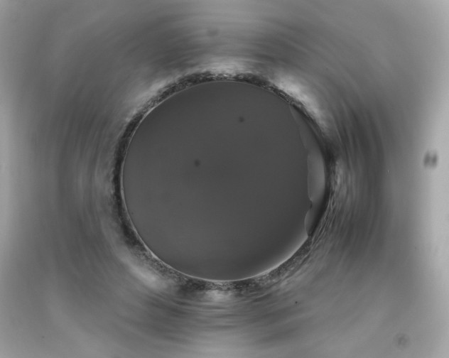 X0000092060496200709121357