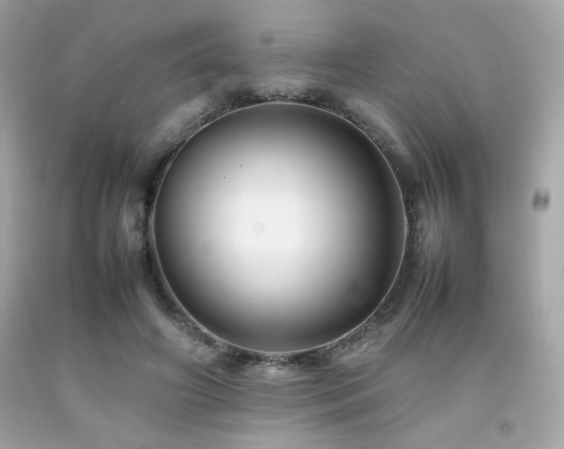 X0000092060498200709121357