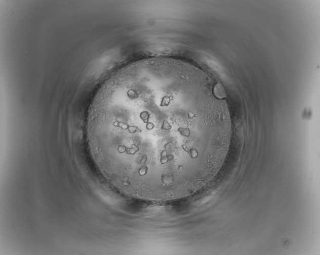 X0000092060499200709121357