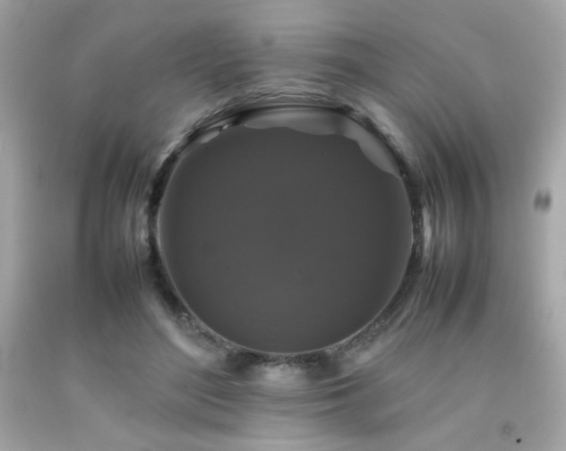 X0000092060500200709121357