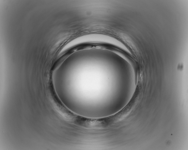X0000092060501200709121357