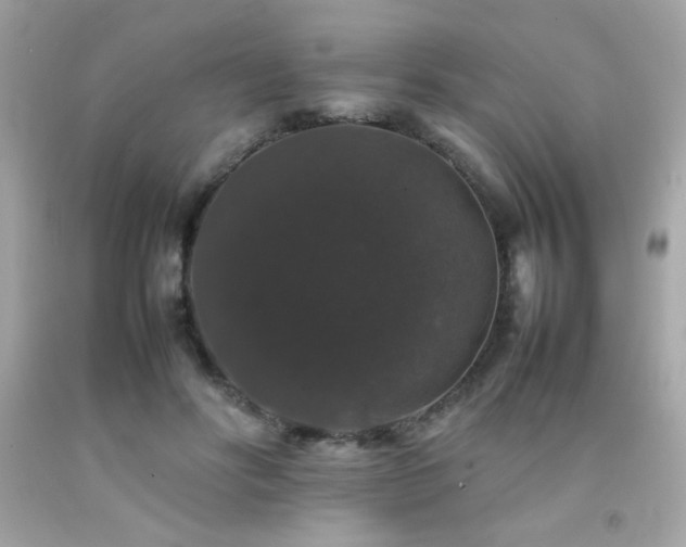 X0000092060502200709121357