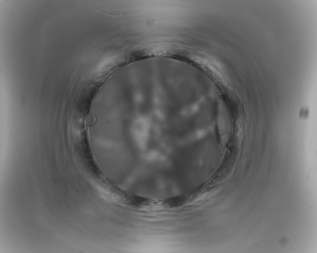X0000092060503200709121357