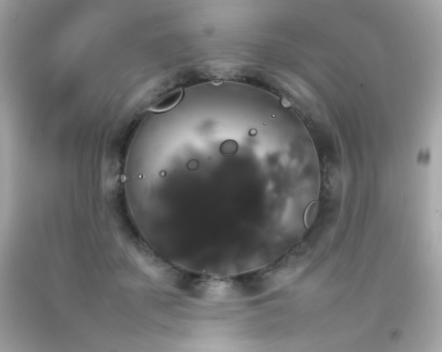 X0000092060507200709121357