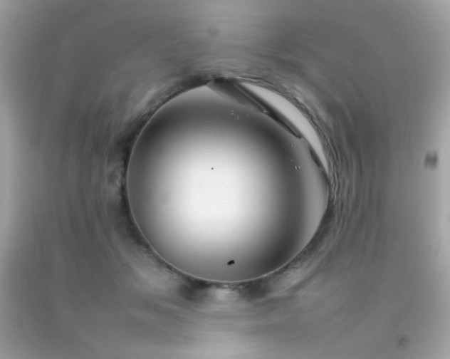 X0000092060509200709121357