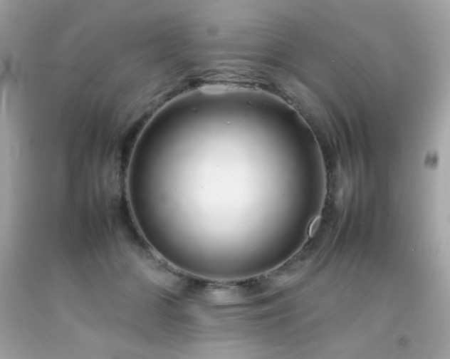 X0000092060510200709121357