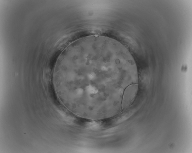 X0000092060511200709121357