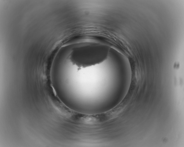 X0000092060512200709121357