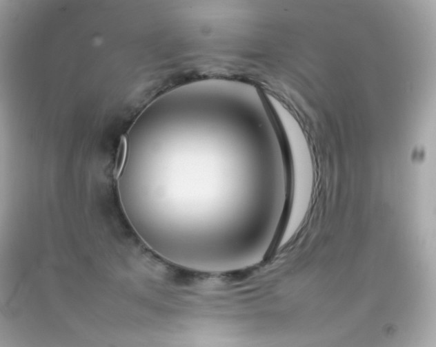 X0000092060513200709121357