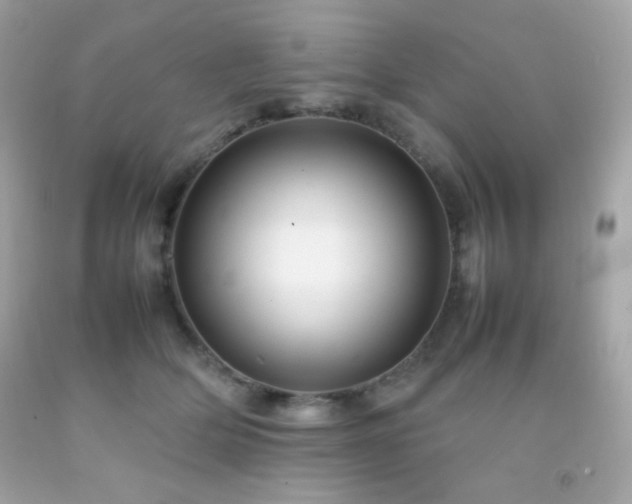 X0000092060514200709121357