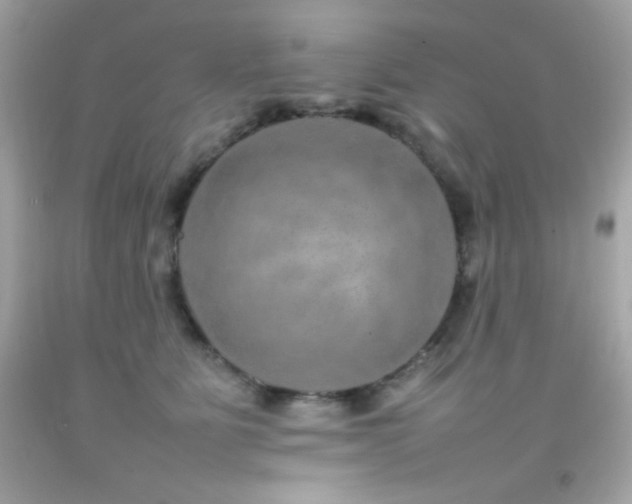 X0000092060515200709121357