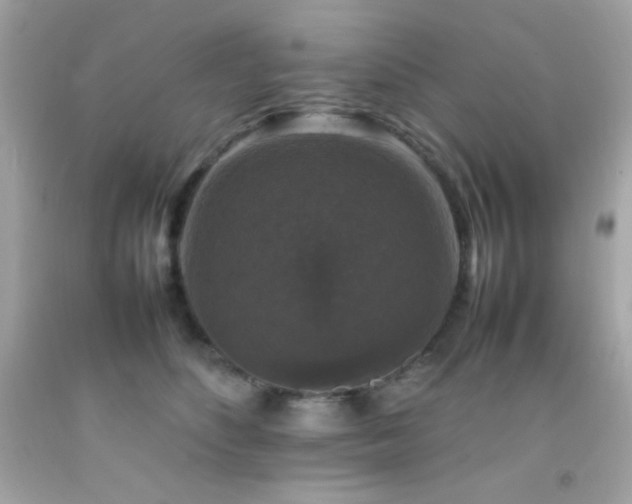 X0000092060516200709121357