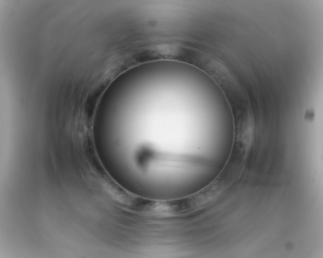 X0000092060518200709121357
