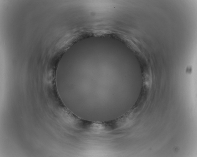 X0000092060519200709121357